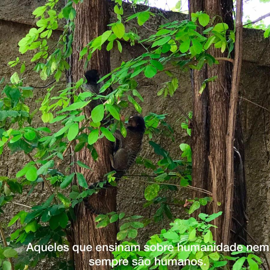 Pousada E Chales Mambai Inn Dış mekan fotoğraf